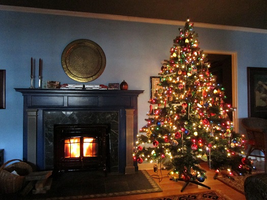 The fire and the tree in the living room.